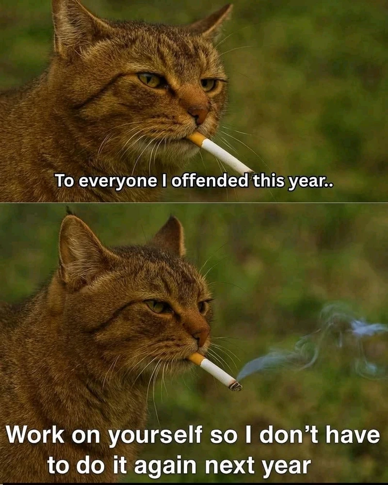 GIF uploaded by Erica