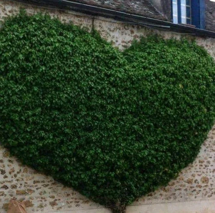 GIF ajouté par Mickaël