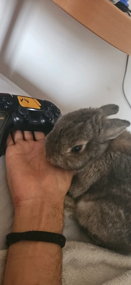 GIF subido por Marcos