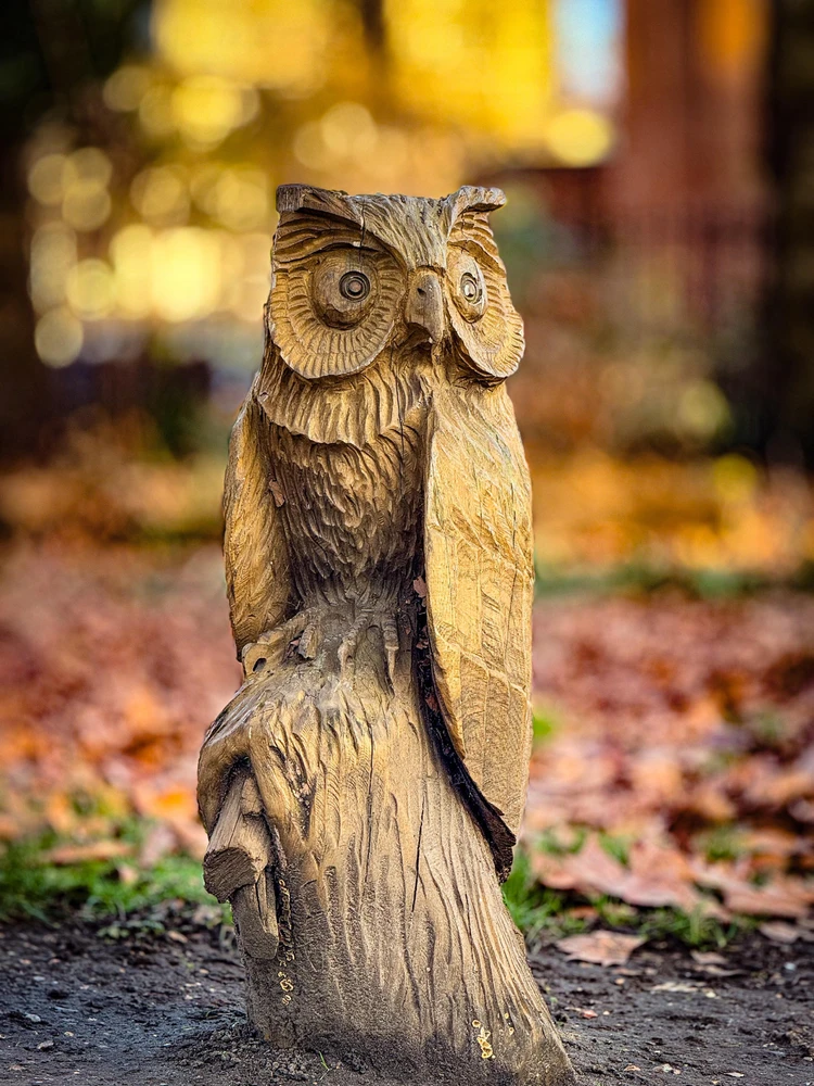 Image uploaded by Dan