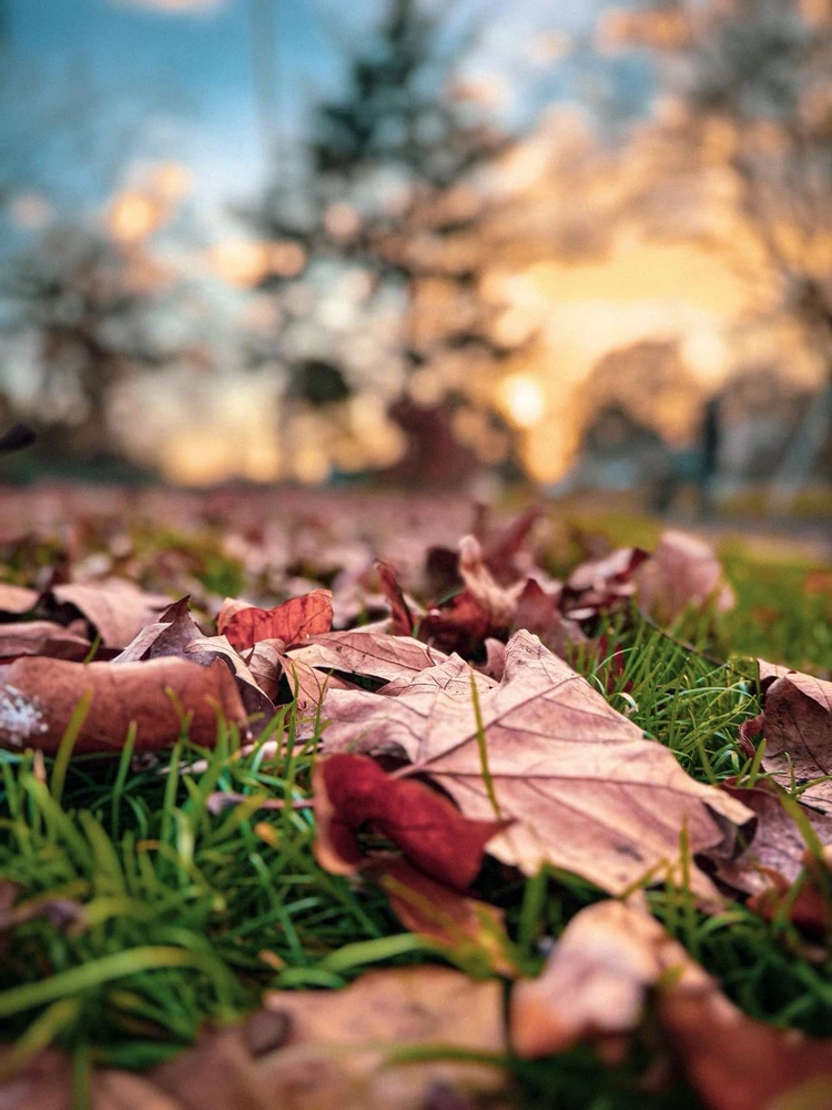 Image uploaded by Dan