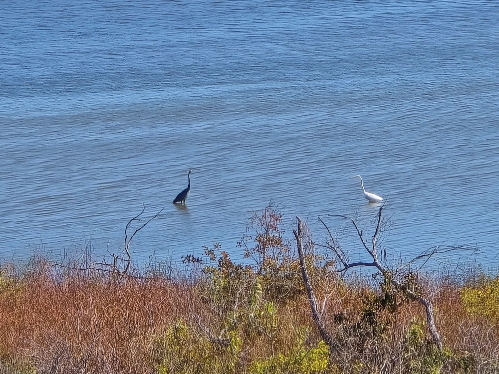 Image uploaded by Leandro Siebert