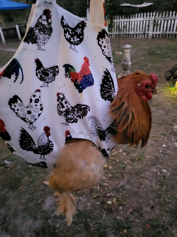 Image uploaded by Bobbilyn