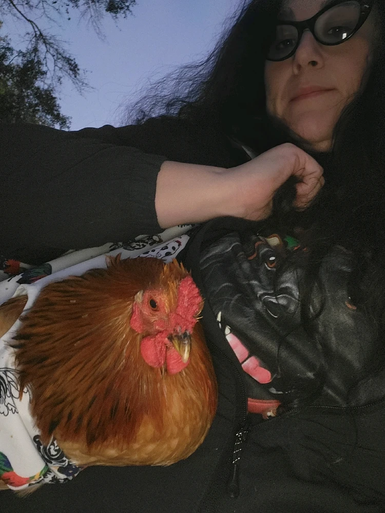 Image uploaded by Bobbilyn