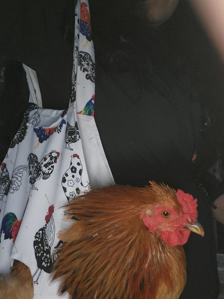 Image uploaded by Bobbilyn