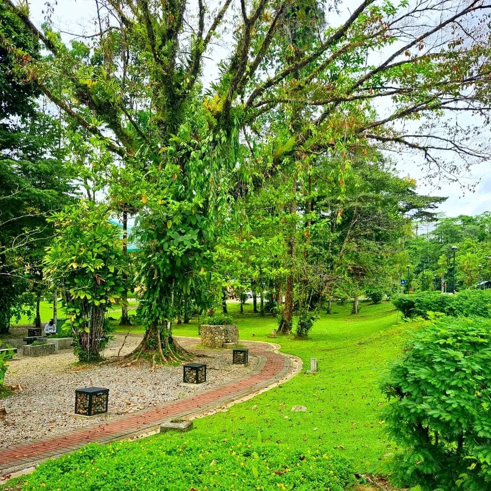 Gambar diunggah oleh Jaya