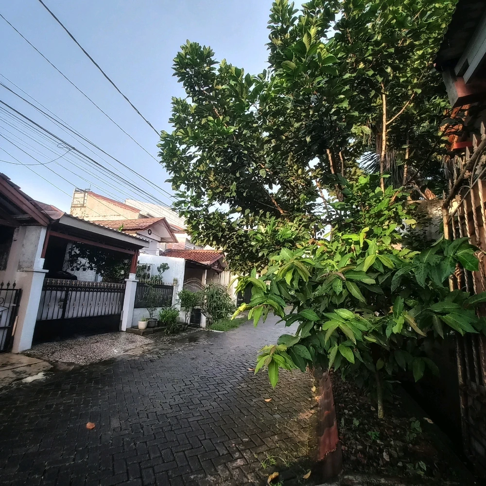 Image uploaded by Afit