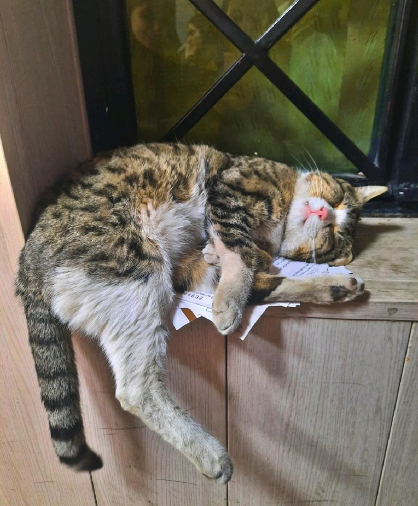 GIF uploaded by Nava