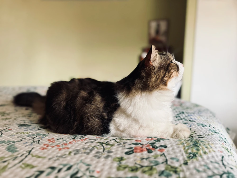 GIF uploaded by Ané