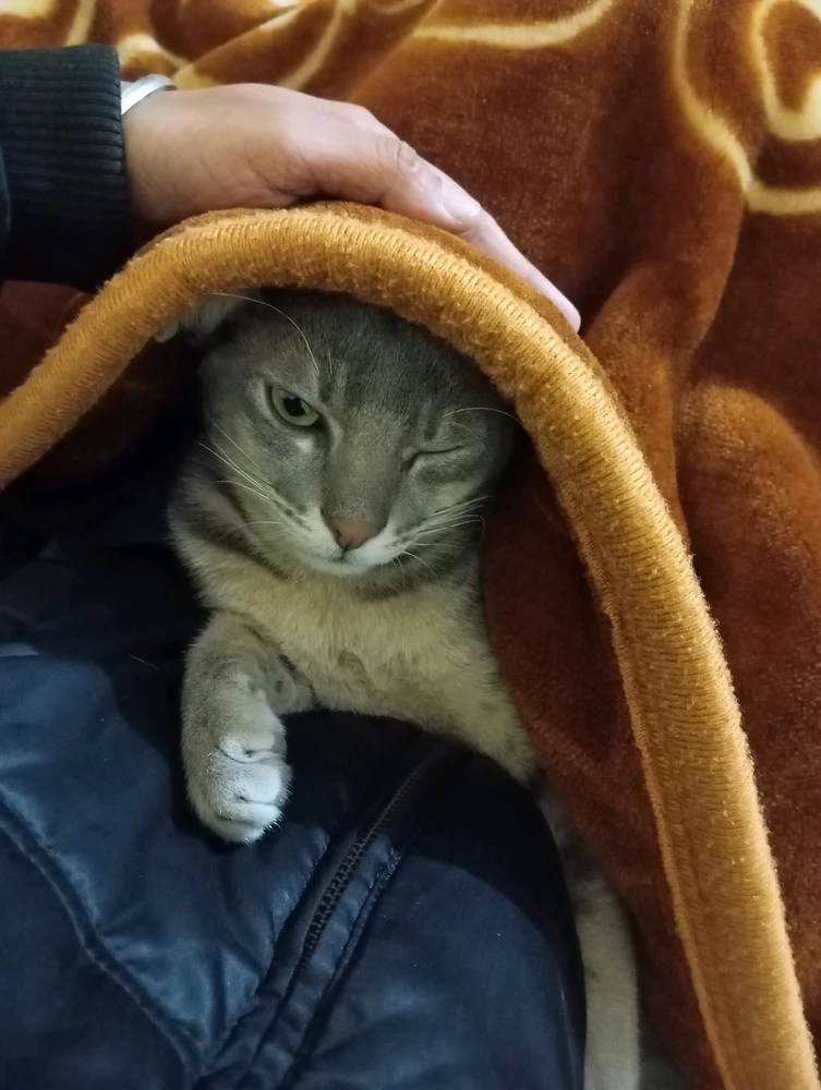 GIF uploaded by Shalu