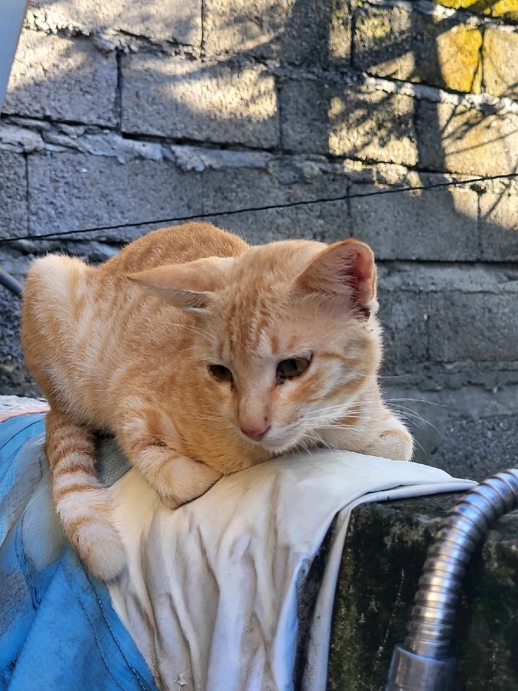 GIF uploaded by Jann