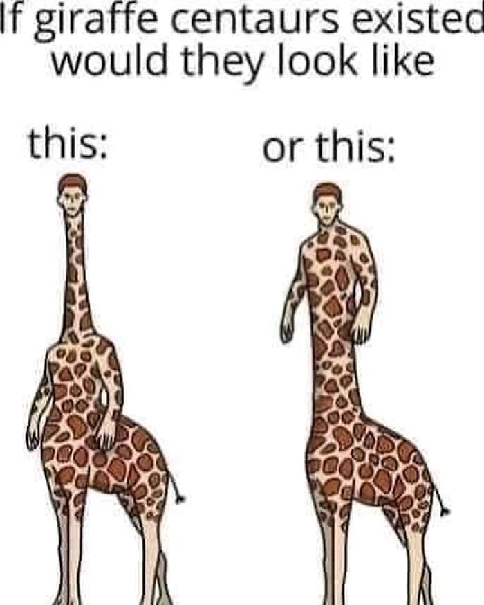 GIF uploaded by JULIETTE