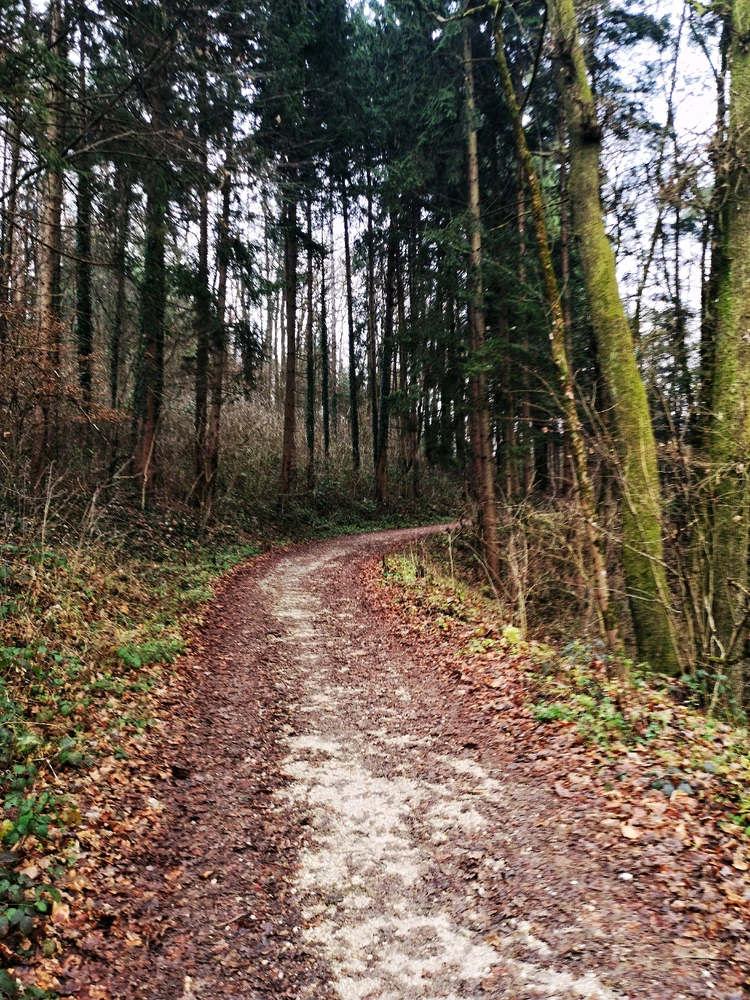 GIF uploaded by Lera