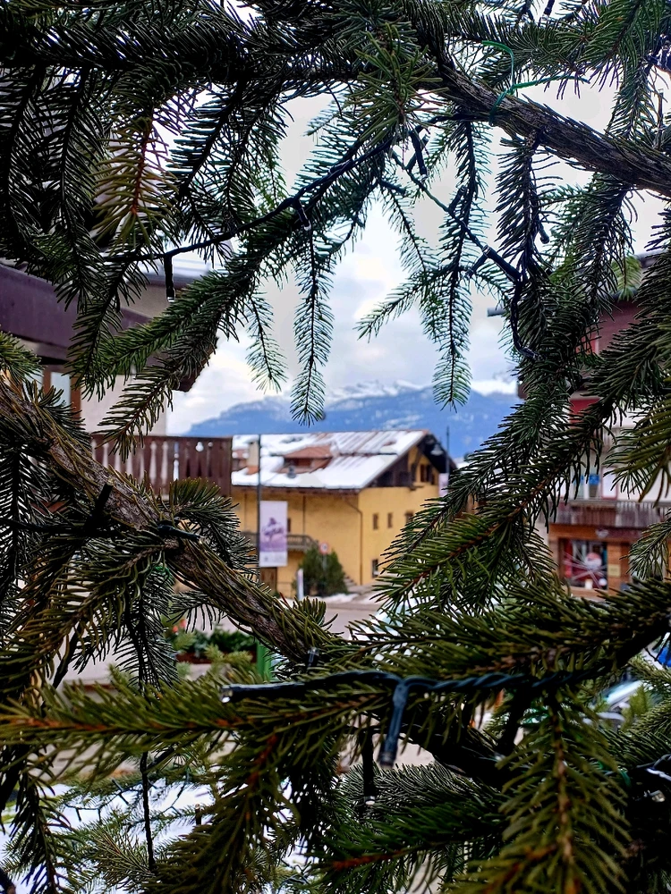 GIF caricata da Mauro