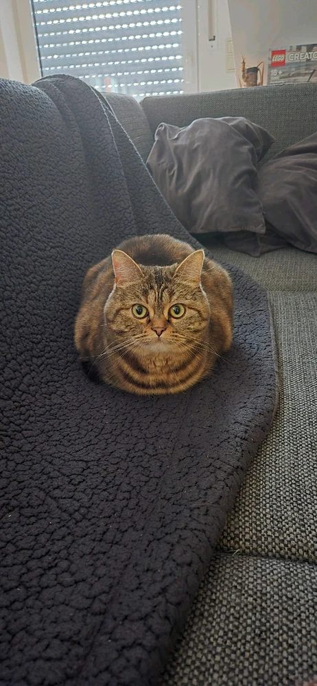 Bild hochgeladen von Jan