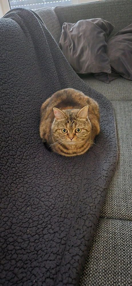 Bild hochgeladen von Jan