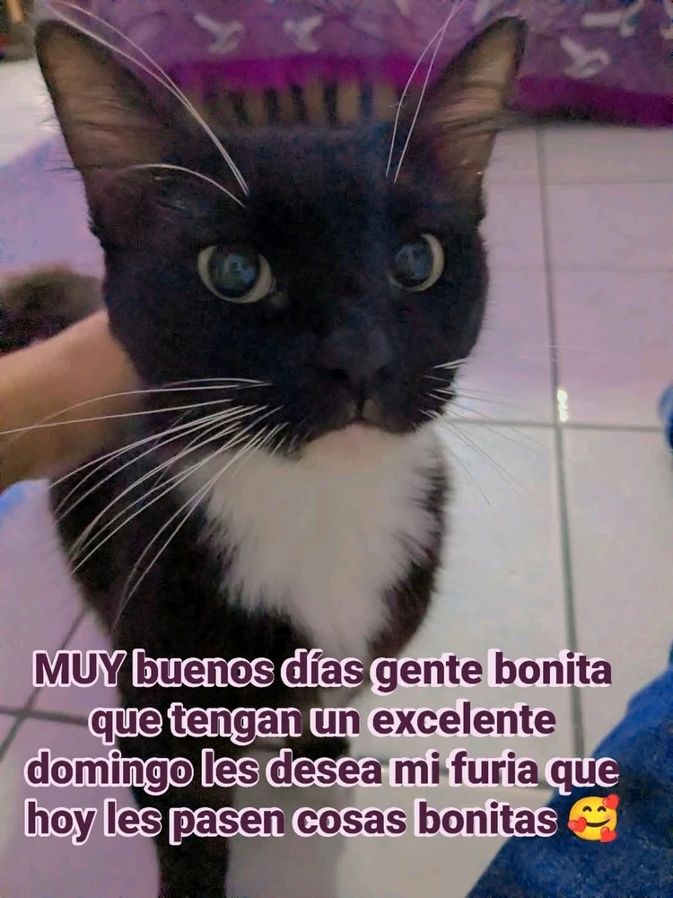 GIF subido por Lindida Godínez