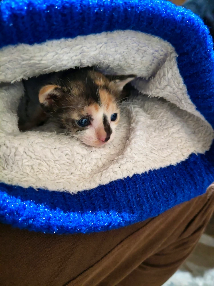 GIF uploaded by Arsh