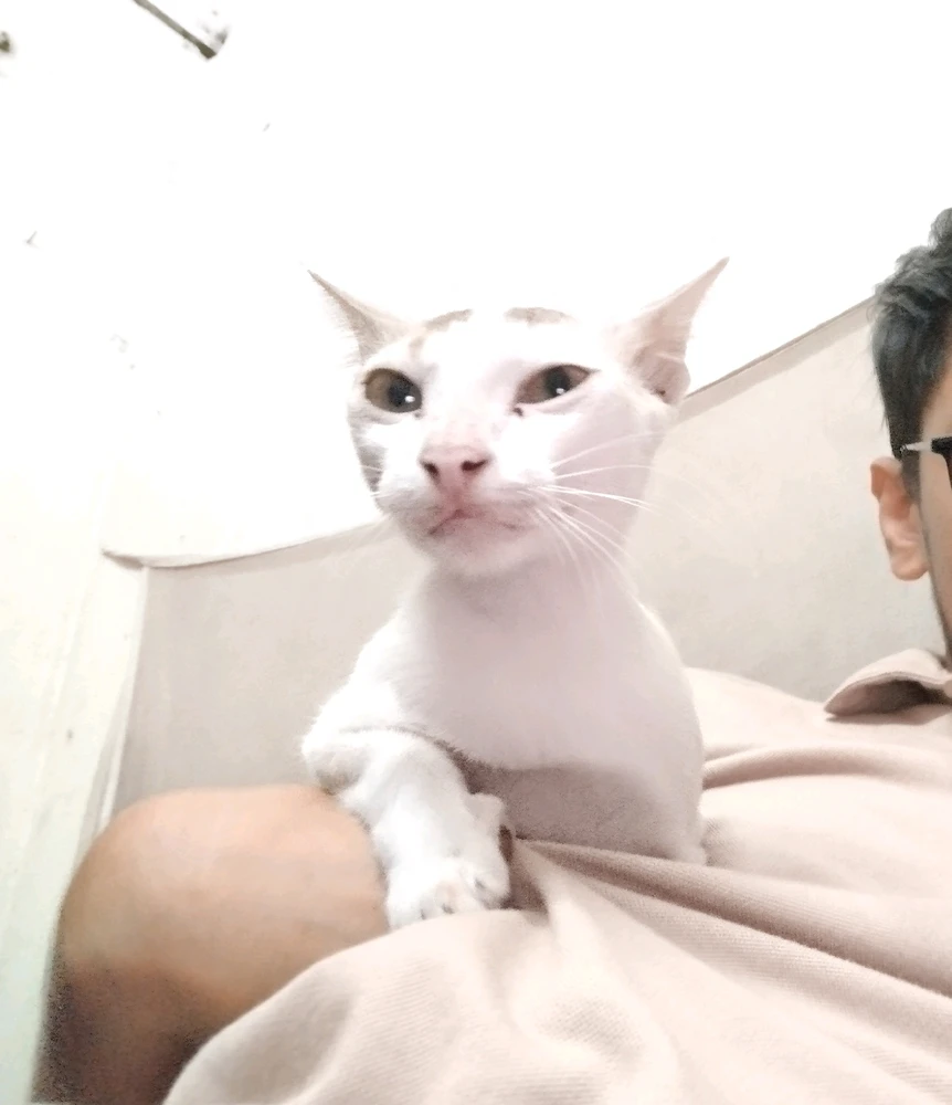 GIF uploaded by ARIF