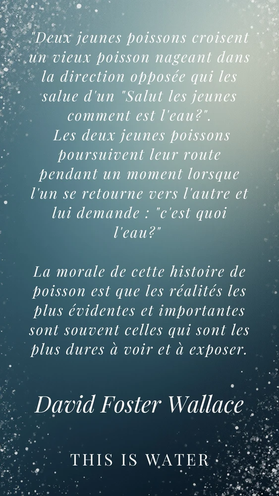 GIF ajouté par Anas