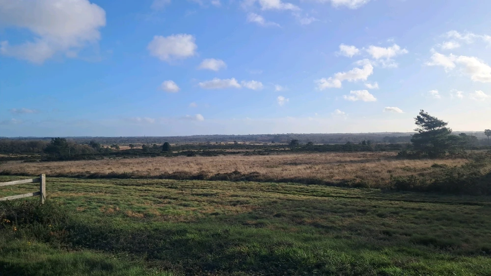 Image uploaded by Harvey