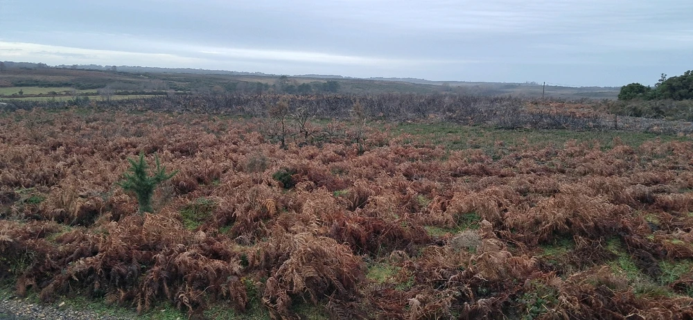 Image uploaded by Harvey