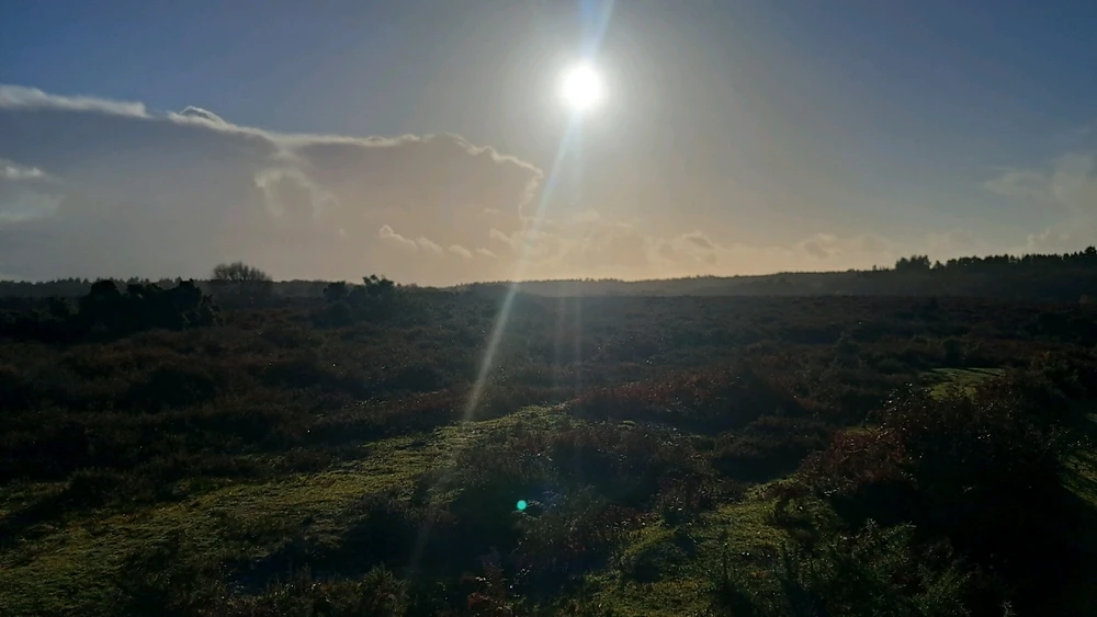 Image uploaded by Harvey