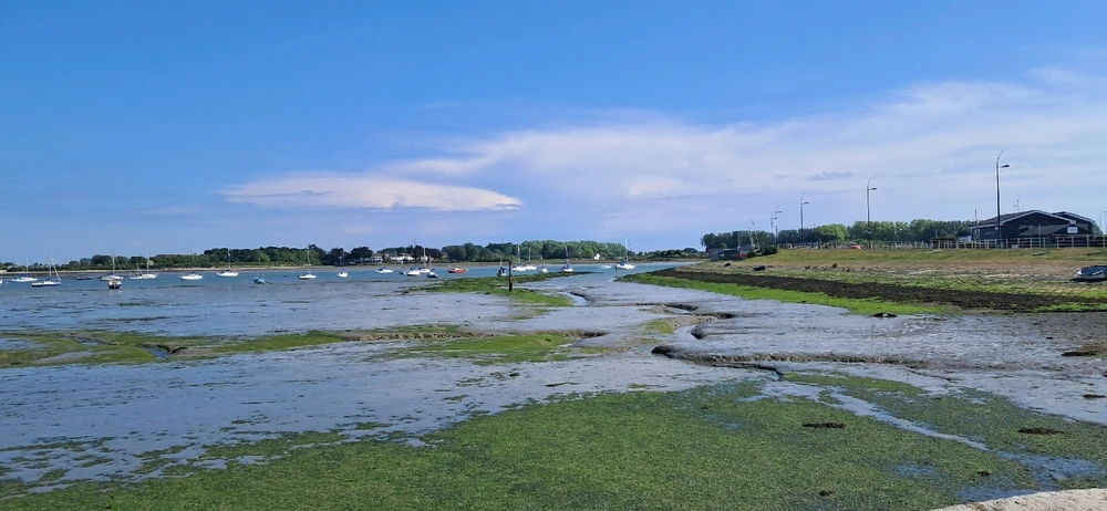 Image uploaded by Harvey