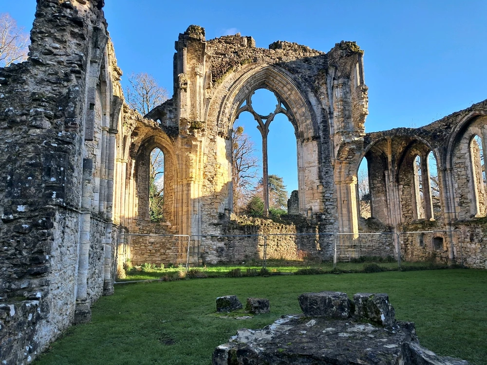 Image uploaded by Harvey