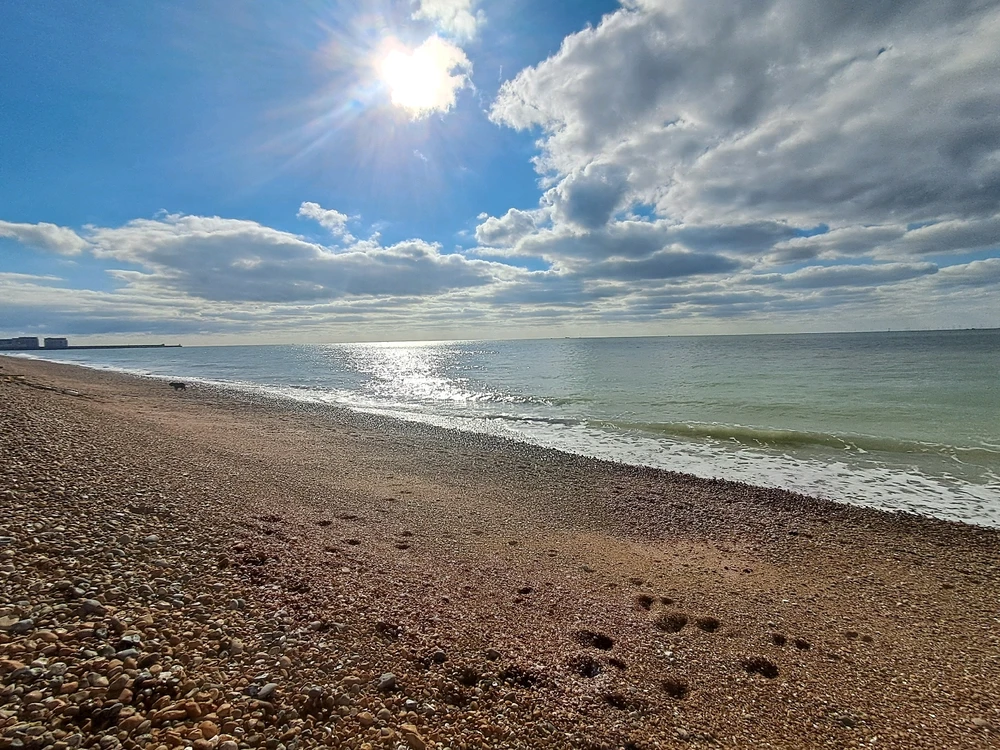 Image uploaded by Harvey