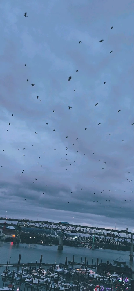 Image uploaded by Baines