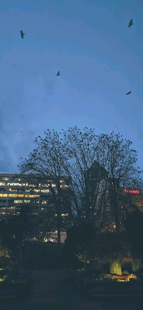 Image uploaded by Baines