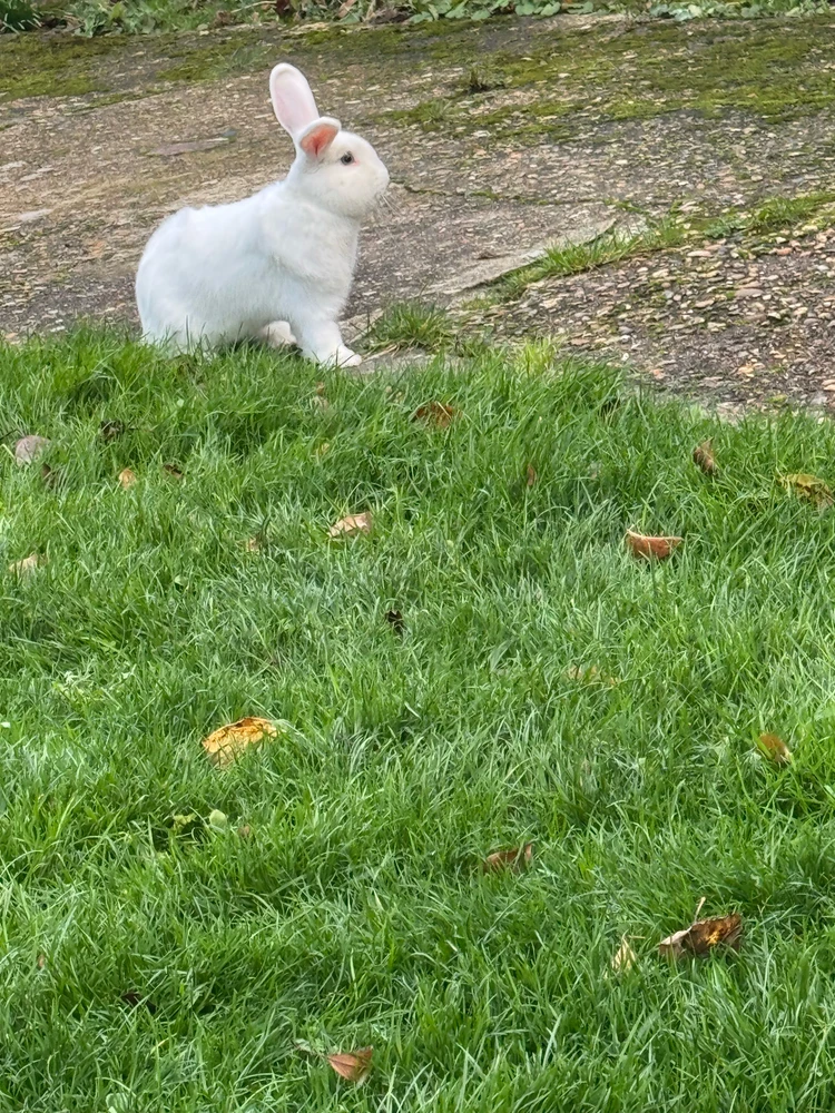 Imagine încărcată de Marian
