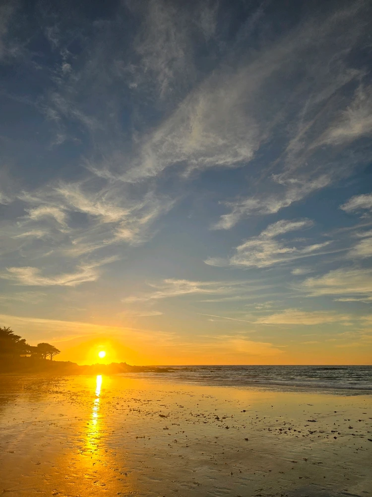 GIF uploaded by William