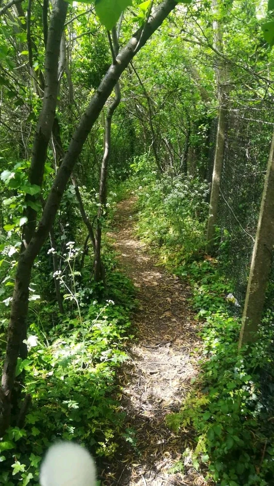 Image uploaded by Shane