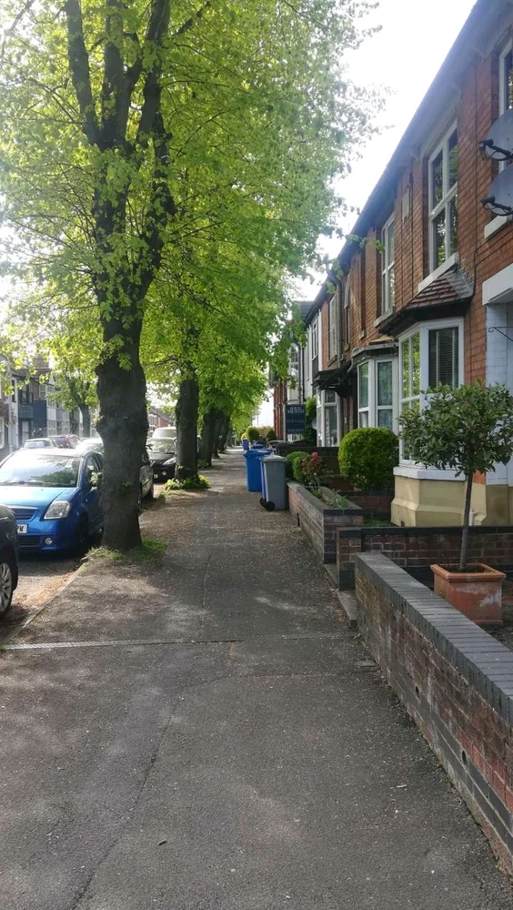 Image uploaded by Shane