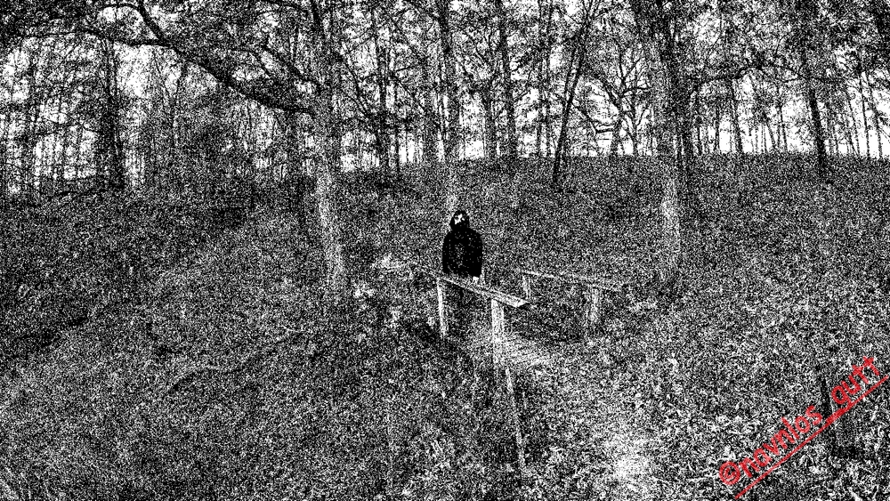 Gambar diunggah dening Mike