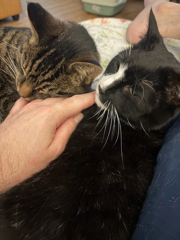 GIF uploaded by Damian