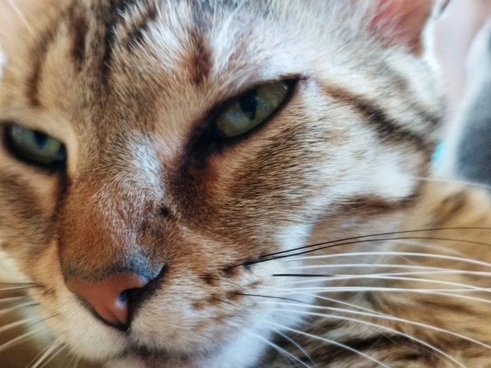 GIF subido por Aaron