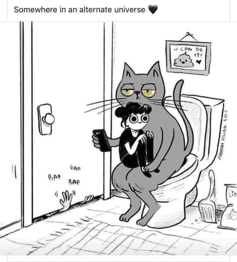 GIF uploaded by Cyrus