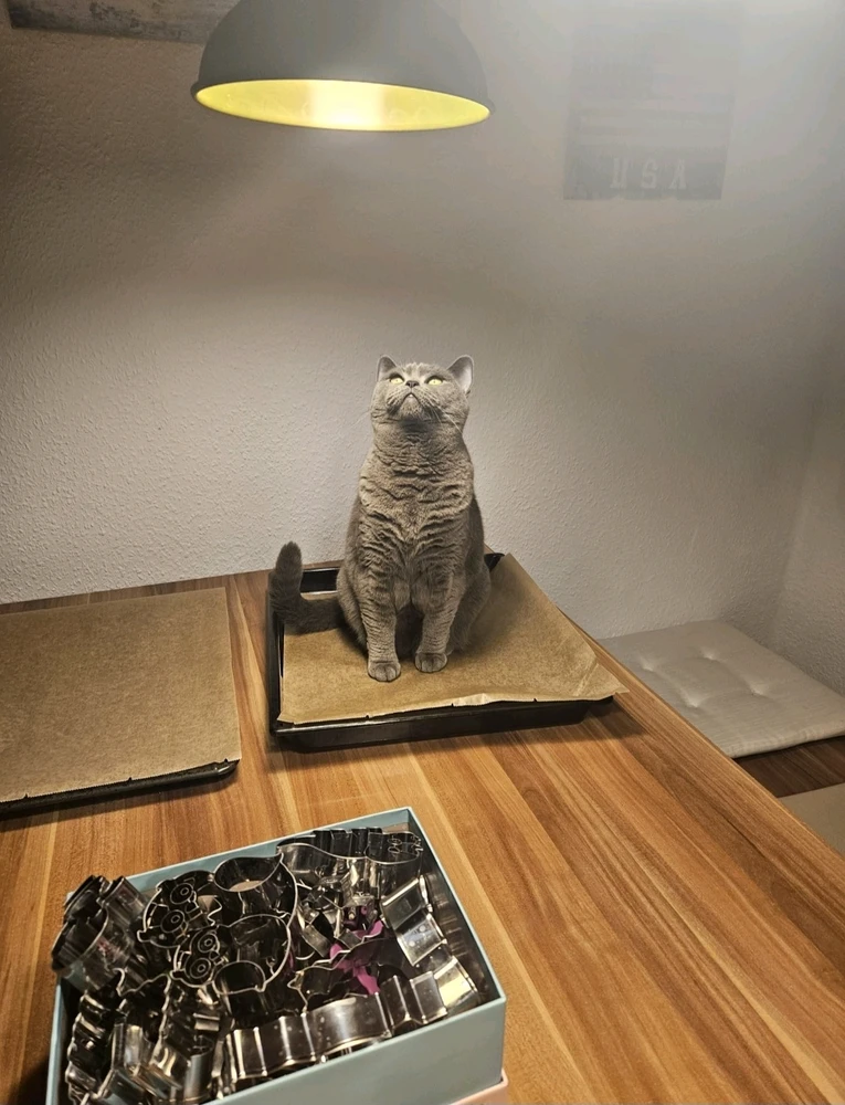 GIF hochgeladen von Christian