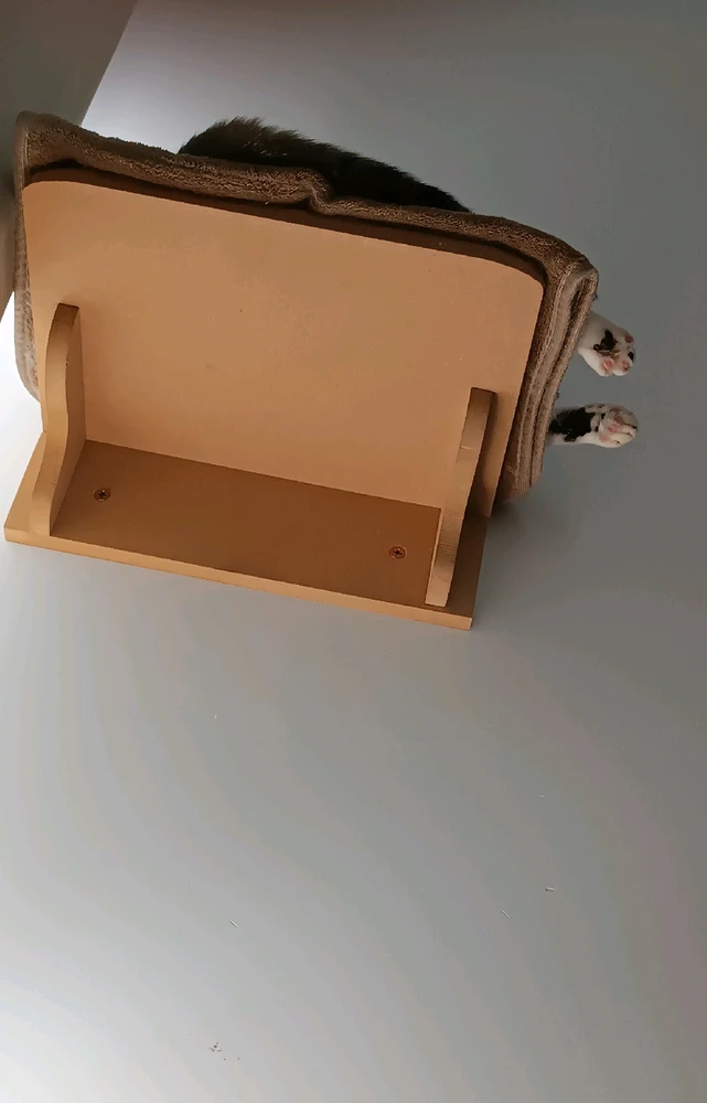 Image uploaded by Let