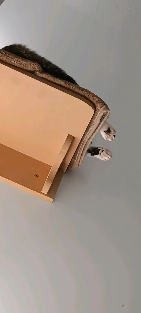 Image uploaded by Let