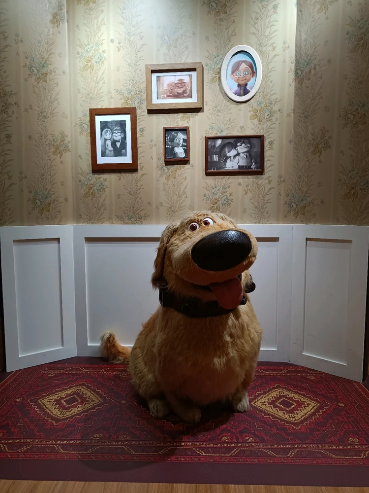 Imagem enviada por Daniel Pacheco