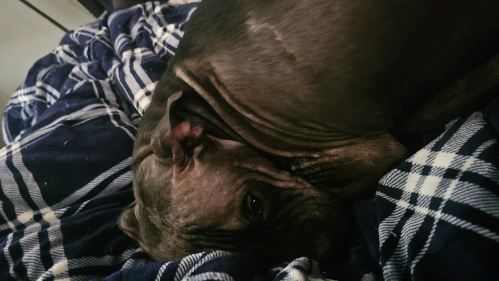 GIF uploaded by Sarah Gallardo