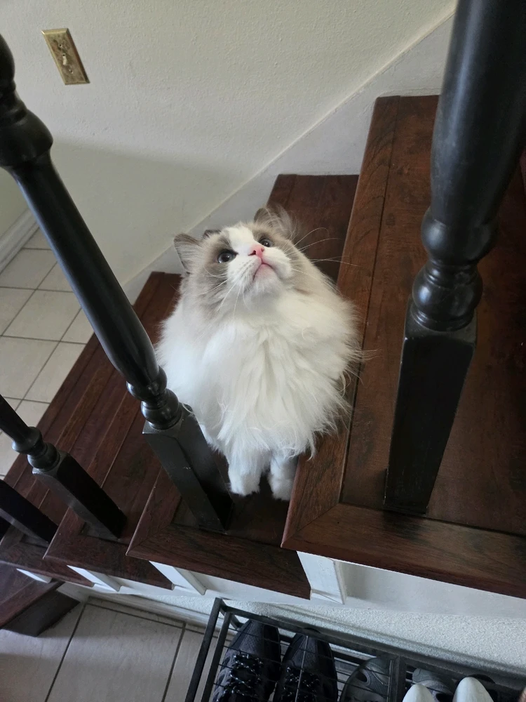 Image uploaded by Jason