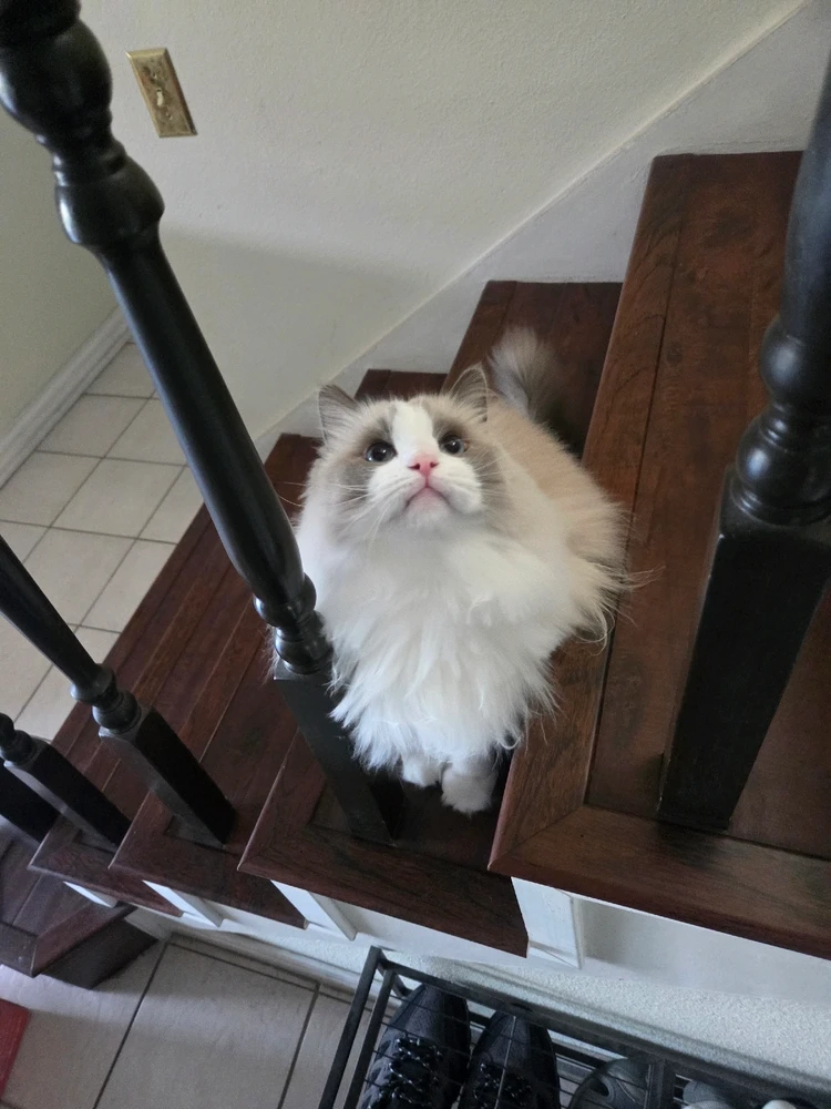 Image uploaded by Jason