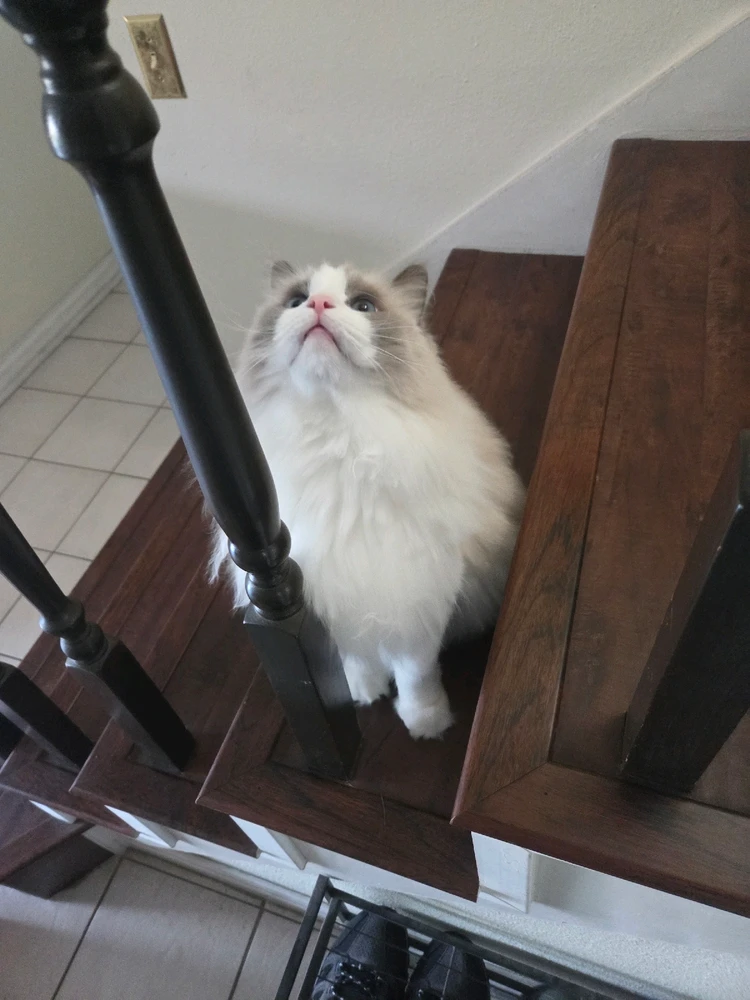 Image uploaded by Jason