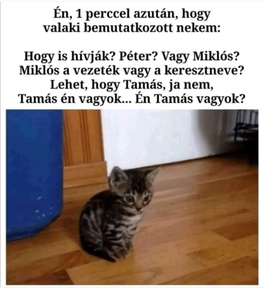 Dani által feltöltött GIF