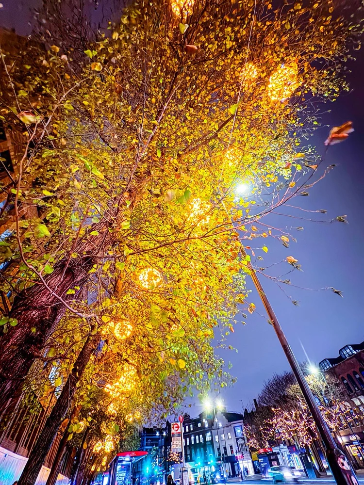 Image uploaded by Dan